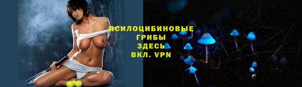 соль ск Зеленодольск
