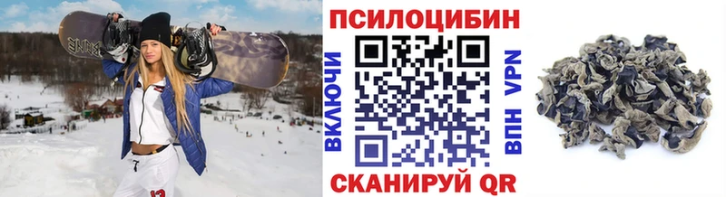 Псилоцибиновые грибы MAGIC MUSHROOMS  Купить где  Верхний Тагил 